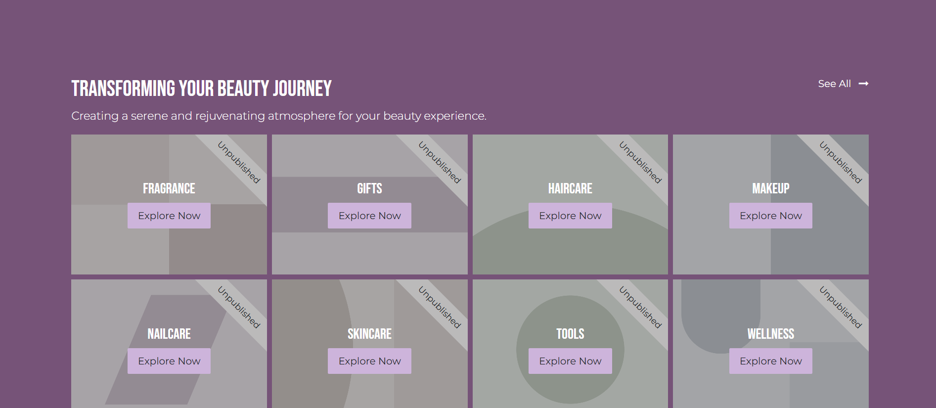 Beauty Salon Website1