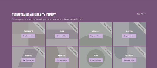 Beauty Salon Website1
